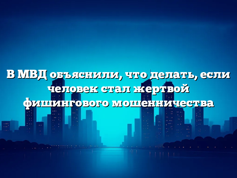 В МВД объяснили, что делать, если человек стал жертвой фишингового мошенничества