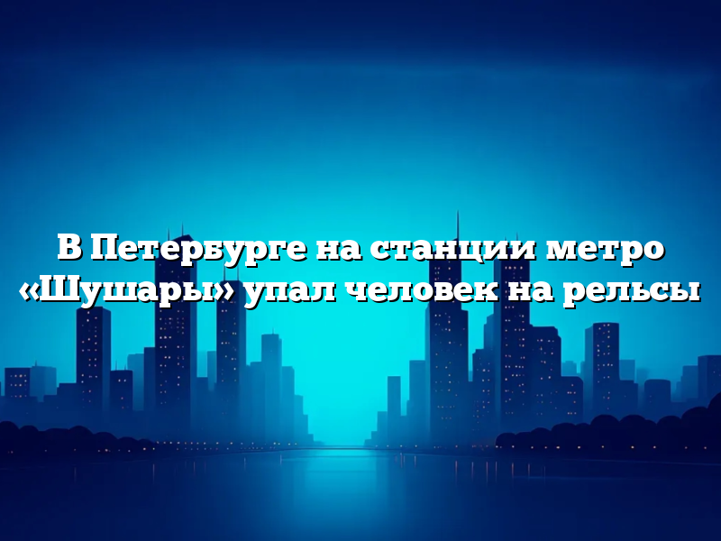 В Петербурге на станции метро «Шушары» упал человек на рельсы