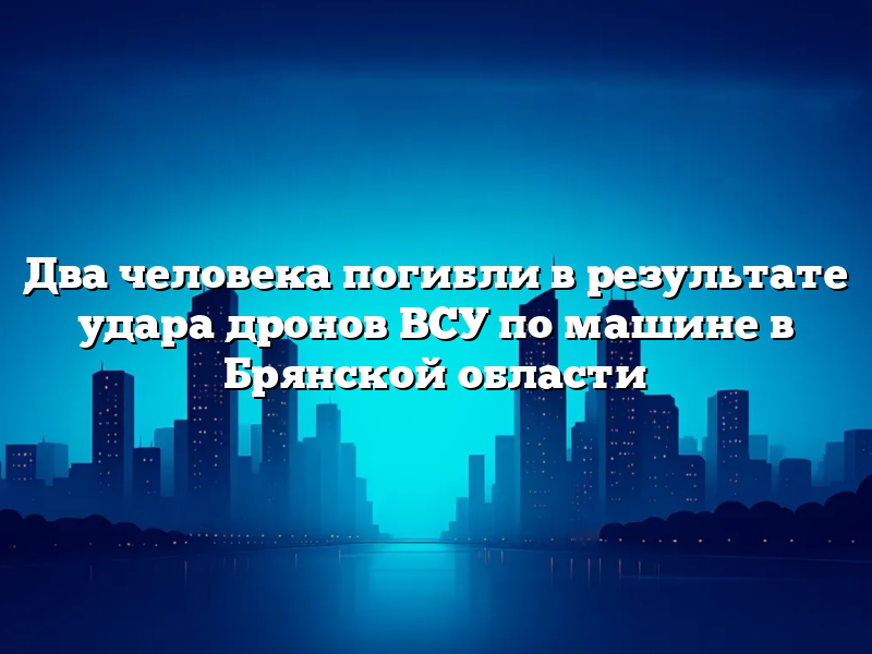 Два человека погибли в результате удара дронов ВСУ по машине в Брянской области