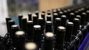 РИА Новости: КБР стала лидером по росту производства вина в России в 2025 году