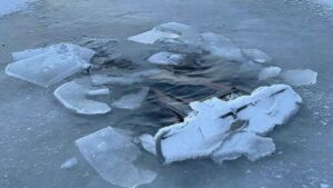 Из загоревшегося в Вологодской области магазина эвакуировались пятеро работников