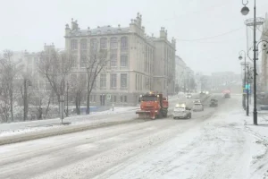 Во Владивостоке высота сугробов достигла 25 сантиметров