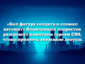«Бил фигуру солдата и сломал автомат» Влюбленный подросток разгромил памятник героям СВО, чтобы привлечь внимание девушк