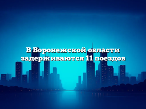 В Воронежской области задерживаются 11 поездов