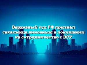 Верховный суд РФ признал сахалинца виновным в покушении на сотрудничество с ВСУ