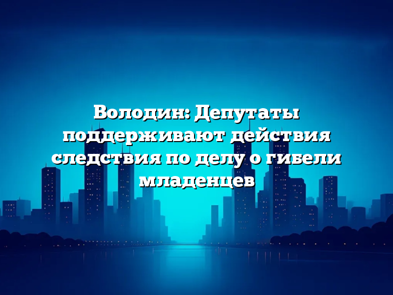 Володин: Депутаты поддерживают действия следствия по делу о гибели младенцев