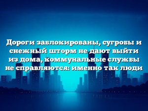Дороги заблокированы, сугробы и снежный шторм не дают выйти из дома, коммунальные службы не справляются: именно так люди