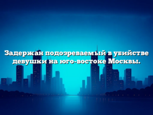 Задержан подозреваемый в убийстве девушки на юго-востоке Москвы.