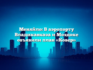 Меняйло: В аэропорту Владикавказа и Моздоке объявили план «Ковер»
