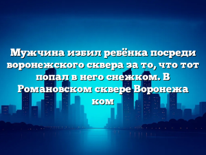 Мужчина избил ребёнка посреди воронежского сквера за то, что тот попал в него снежком. В Романовском сквере Воронежа ком