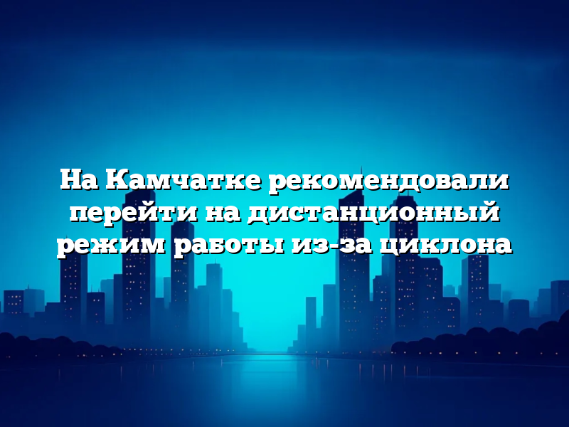 На Камчатке рекомендовали перейти на дистанционный режим работы из-за циклона