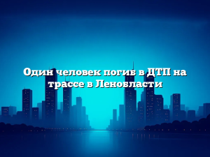 Один человек погиб в ДТП на трассе в Ленобласти