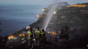 Куренков призвал активнее применять беспилотники для борьбы с лесными пожарами