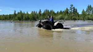 В России в 2025 году были затоплены свыше 480 населенных пунктов