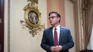 Майк Джонсон: политика демократов привела к убийству беженки с Украины в США