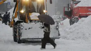 Страховщик Биждов: обильные снегопады повышают шанс на хороший урожай озимых