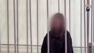 РИА Новости: обвиняемой в похищении подростка Батыровой изменили меру пресечения