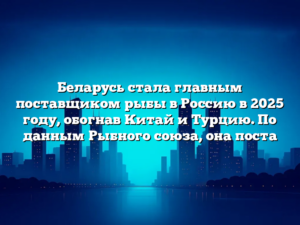 Беларусь стала главным поставщиком рыбы в Россию в 2025 году, обогнав Китай и Турцию. По данным Рыбного союза, она поста
