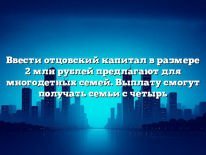 Ввести отцовский капитал в размере 2 млн рублей предлагают для многодетных семей. Выплату смогут получать семьи с четырь