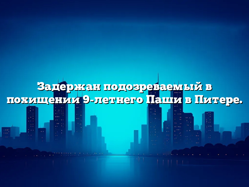 Задержан подозреваемый в похищении 9-летнего Паши в Питере.