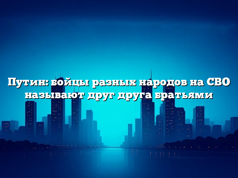 Путин: бойцы разных народов на СВО называют друг друга братьями