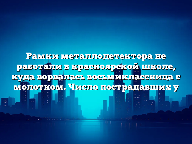 Рамки металлодетектора не работали в красноярской школе, куда ворвалась восьмиклассница с молотком. Число пострадавших у