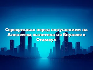 Серебрицкая перед покушением на Алексеева вылетела из Внуково в Стамбул