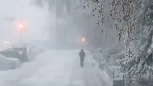 РИА Новости: морозы могут отсрочить начало сезона цветения