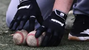 Бейсбольный матч в Санта-Барбаре прервали из-за пеликана на поле