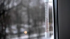 РИА Новости: понижение температуры в Москве произойдет во вторник