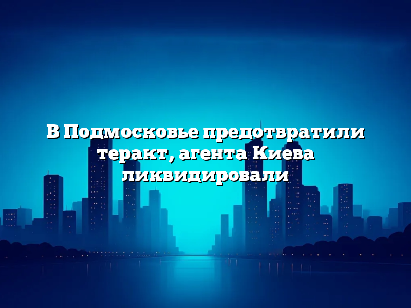 В Подмосковье предотвратили теракт, агента Киева ликвидировали