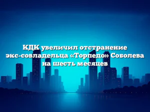 КДК увеличил отстранение экс-совладельца «Торпедо» Соболева на шесть месяцев