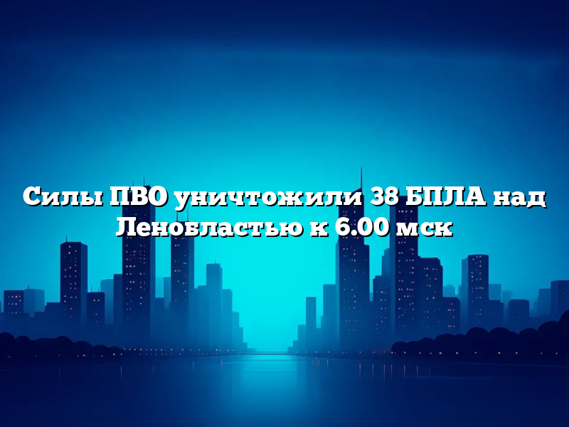 Силы ПВО уничтожили 38 БПЛА над Ленобластью к 6.00 мск