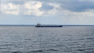 Сальдо: 9 членов экипажа затонувшего в Азовском море сухогруза нашлись на берегу