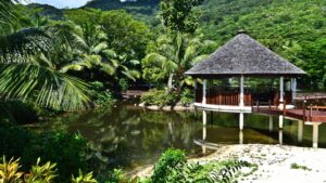 Эрмини: граждане РФ составляют большую долю в турпотоке на Сейшелы