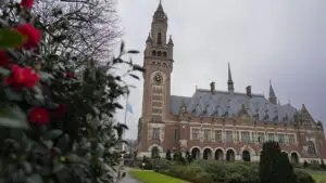 Правительство Нидерландов удалило ответы на запрос о винтовках C7NLD у РДК