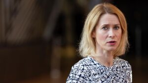 Ушаков: Кае Каллас пора выпить