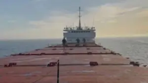 Посол Беляев: задержанный Швецией сухогруз остается под запретом на плавание