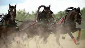 Фастова: Московский ипподром откроется в сентябре