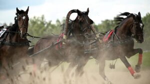 Мединский: русская тройка должна быть национальным видом спорта