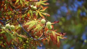 РИА Новости: температура в европейской части РФ превысила климатическую норму