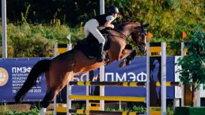 Дочь тренера «Зенита» Семака получила нейтральный статус в конном спорте