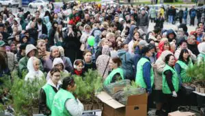 Компания GRASS раздала 30 тысяч саженцев сосны в 6 городах России