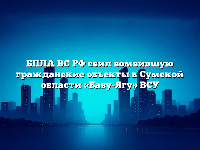 БПЛА ВС РФ сбил бомбившую гражданские объекты в Сумской области «Бабу-Ягу» ВСУ