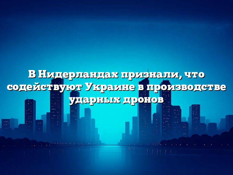 В Нидерландах признали, что содействуют Украине в производстве ударных дронов