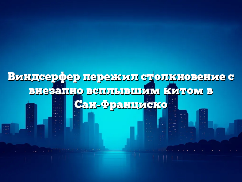 Виндсерфер пережил столкновение с внезапно всплывшим китом в Сан-Франциско