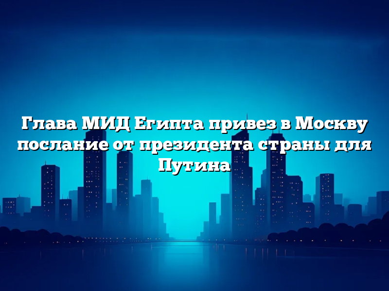 Глава МИД Египта привез в Москву послание от президента страны для Путина