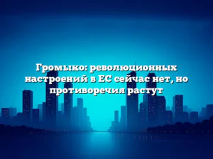 Громыко: революционных настроений в ЕС сейчас нет, но противоречия растут