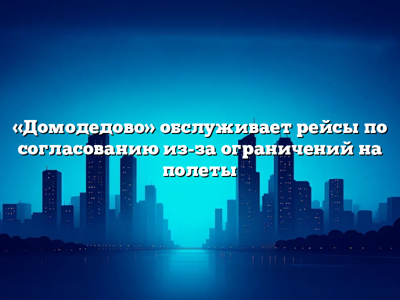 «Домодедово» обслуживает рейсы по согласованию из-за ограничений на полеты