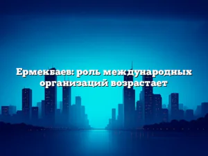 Ермекбаев: роль международных организаций возрастает